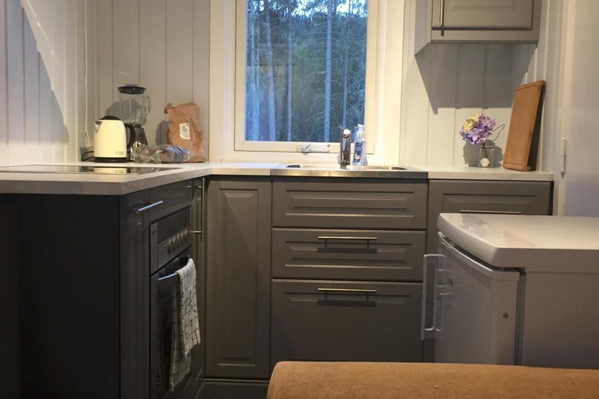 Koselig Hytte i Hemsedal